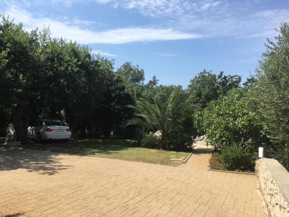 Apartmani Belobrk Potocnica Pag מראה חיצוני תמונה
